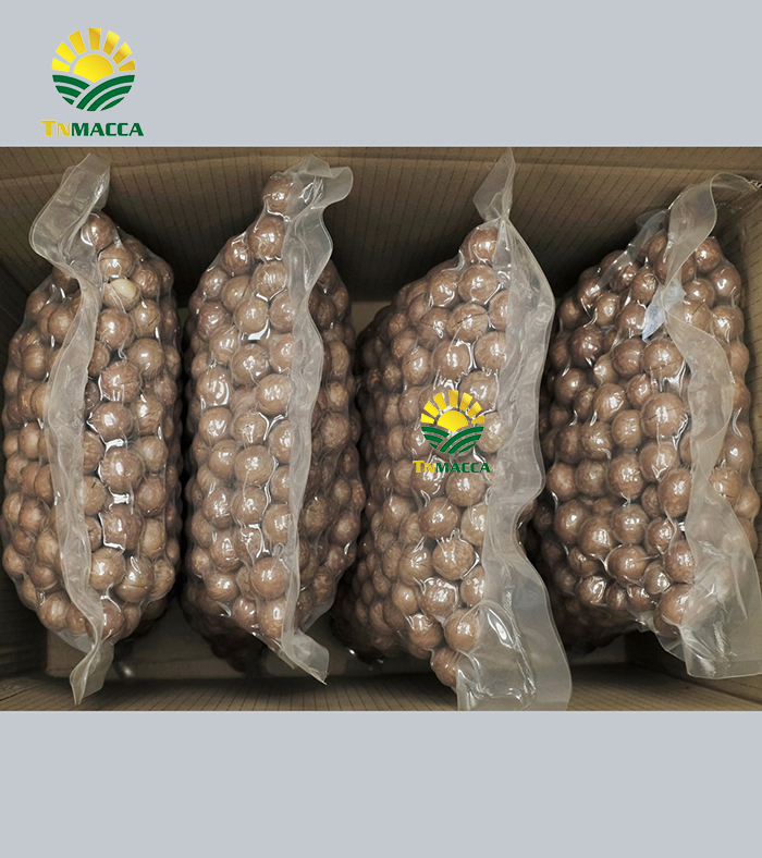 Macca sấy nứt size 19-21 mm Hộp 500g Thùng Sỉ 10 Kg